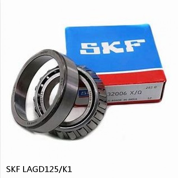 LAGD125/K1 SKF Bearing Grease
