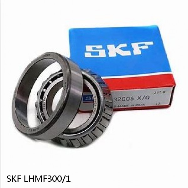 LHMF300/1 SKF Bearing Grease