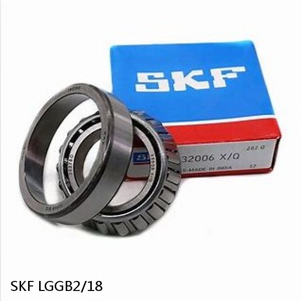 LGGB2/18 SKF Bearing Grease