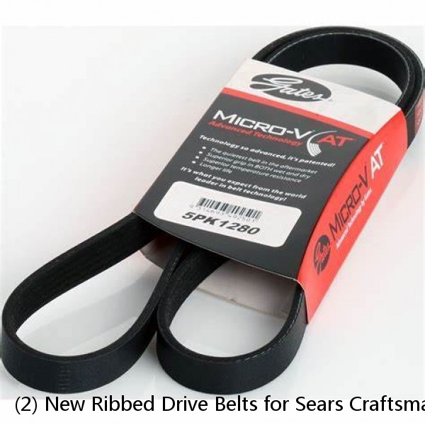 (2) New Ribbed Drive Belts for Sears Craftsman 12" Band Saw Model 119.224000