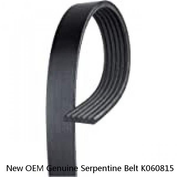 New OEM Genuine Serpentine Belt K060815 Made by Audi FITS MANY VEHICLES!
