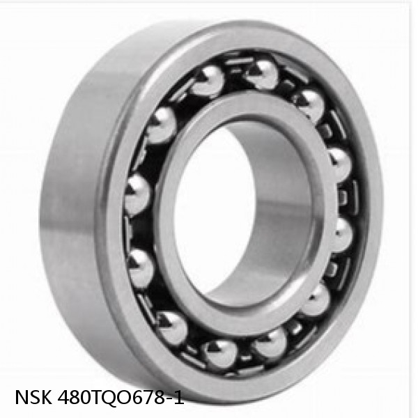 480TQO678-1 NSK Double Row Double Row Bearings