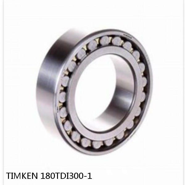 180TDI300-1 TIMKEN Double Row Double Row Bearings